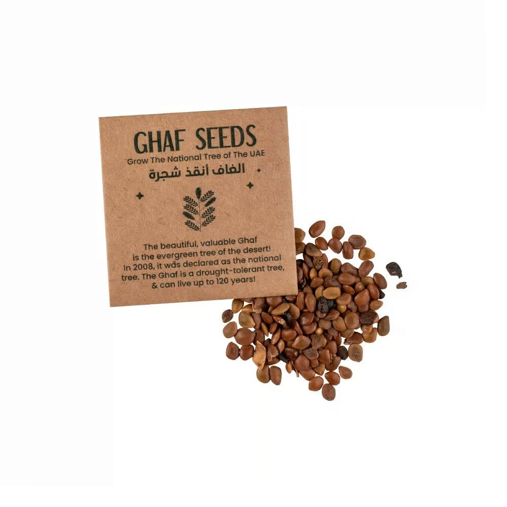 Ghaf Seed Plantable Kit