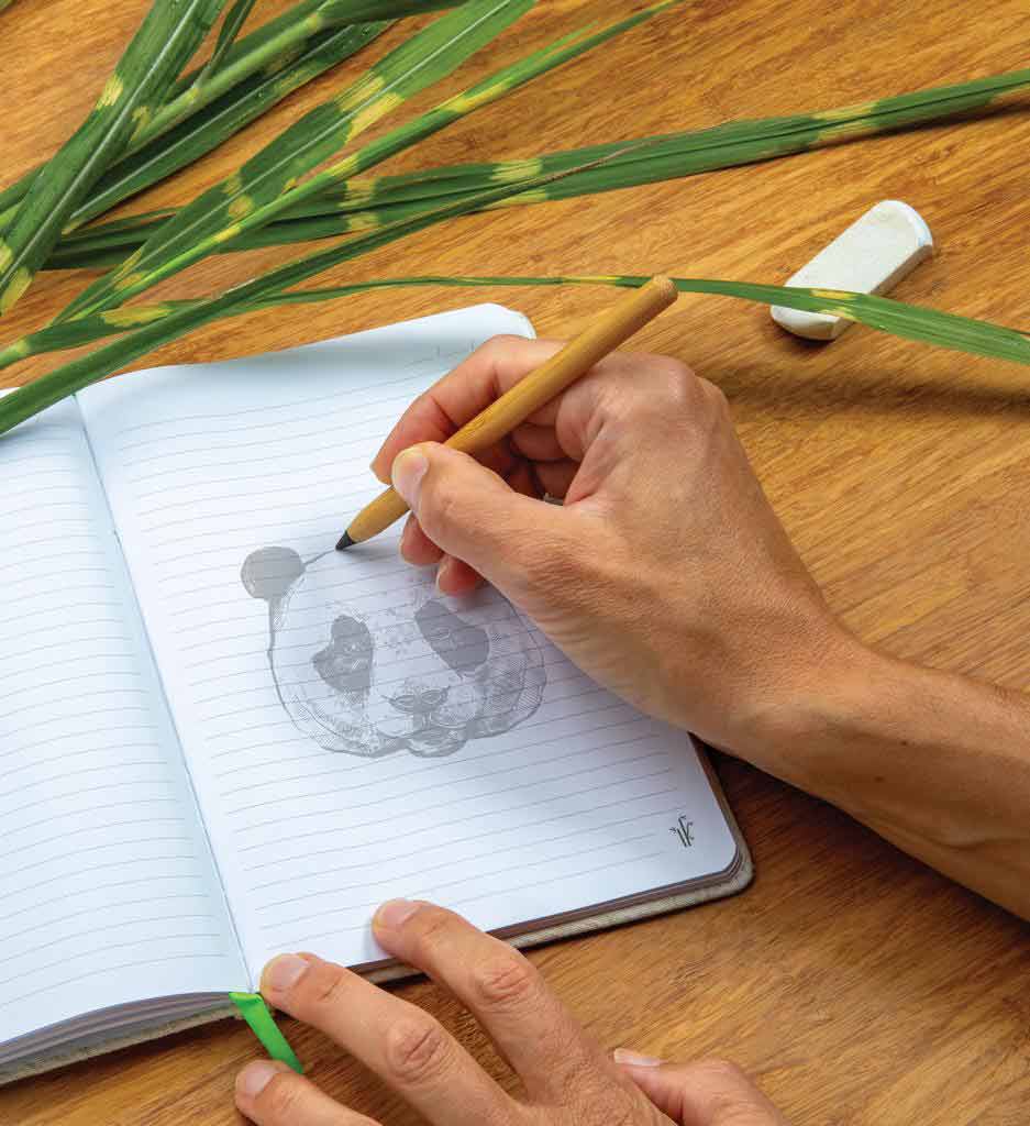 Bamboo Pencil