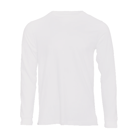 Long Sleeve V-neck Tshirt.