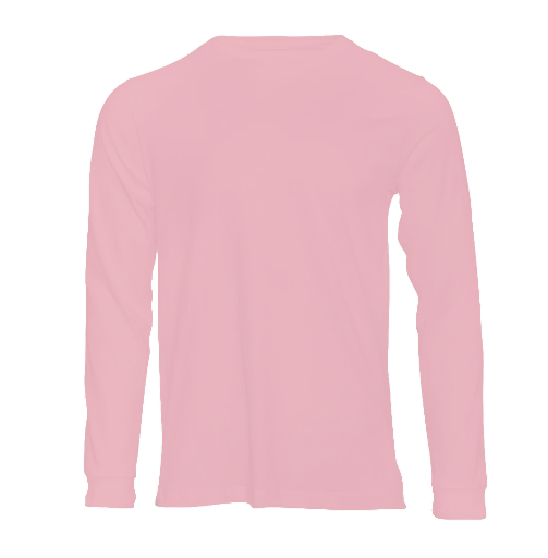Long Sleeve V-neck Tshirt.
