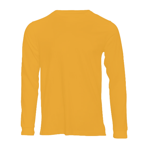 Long Sleeve V-neck Tshirt.