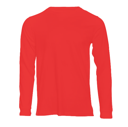 Long Sleeve V-neck Tshirt.