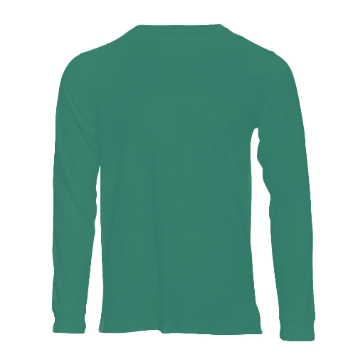 Long Sleeve V-neck Tshirt.