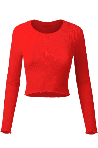 Long Sleeve Crop Top.