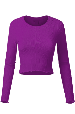 Long Sleeve Crop Top.