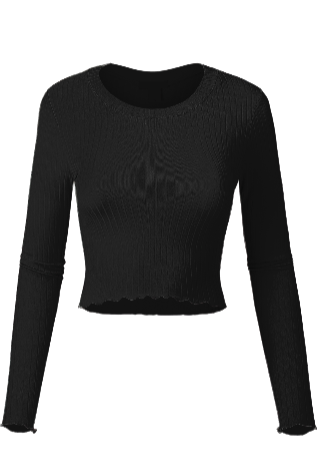 Long Sleeve Crop Top.