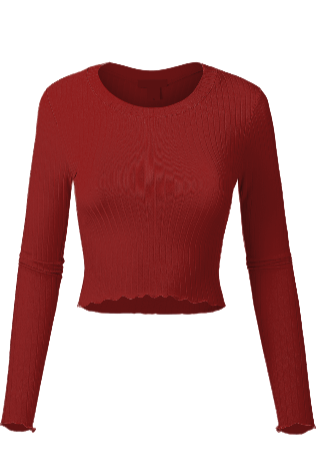Long Sleeve Crop Top.