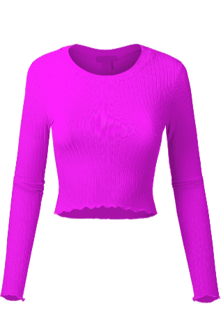 Long Sleeve Crop Top.