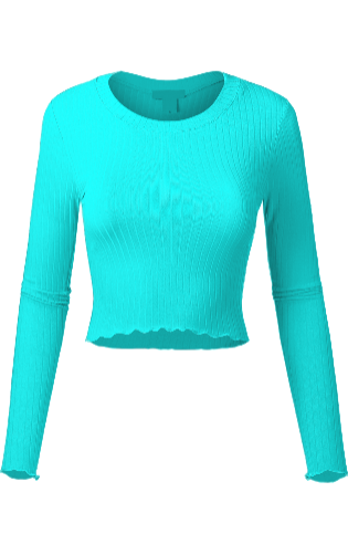 Long Sleeve Crop Top.