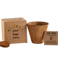Ghaf Seed Plantable Kit.